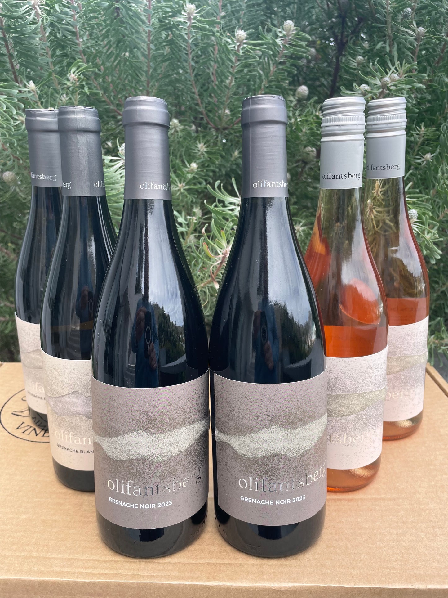 Grenache 2023 Mixed Case